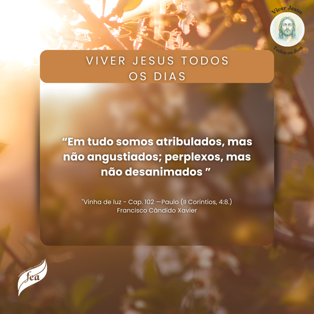 Campanha Viver Jesus todo dia 2025 (10)