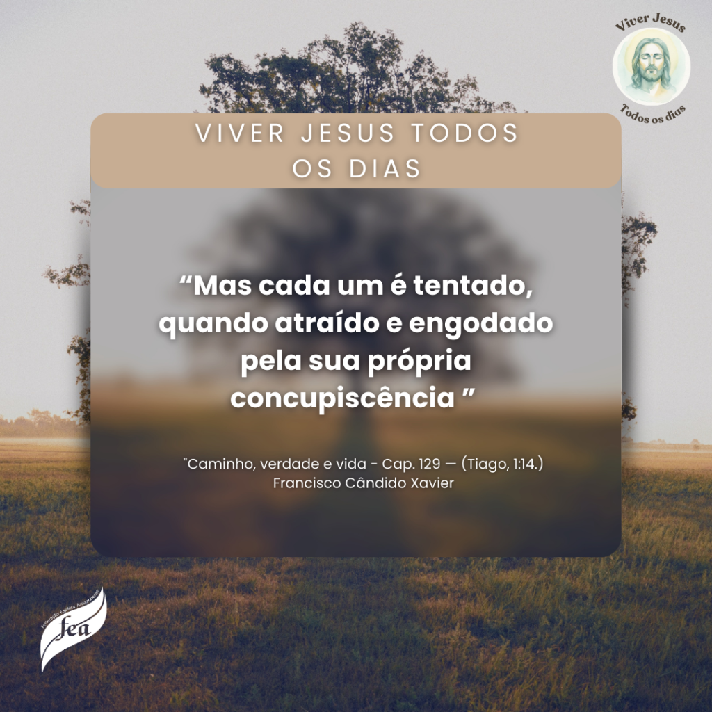 Campanha Viver Jesus todo dia 2025 (16)