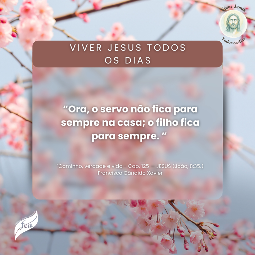 Campanha Viver Jesus todo dia 2025 (17)