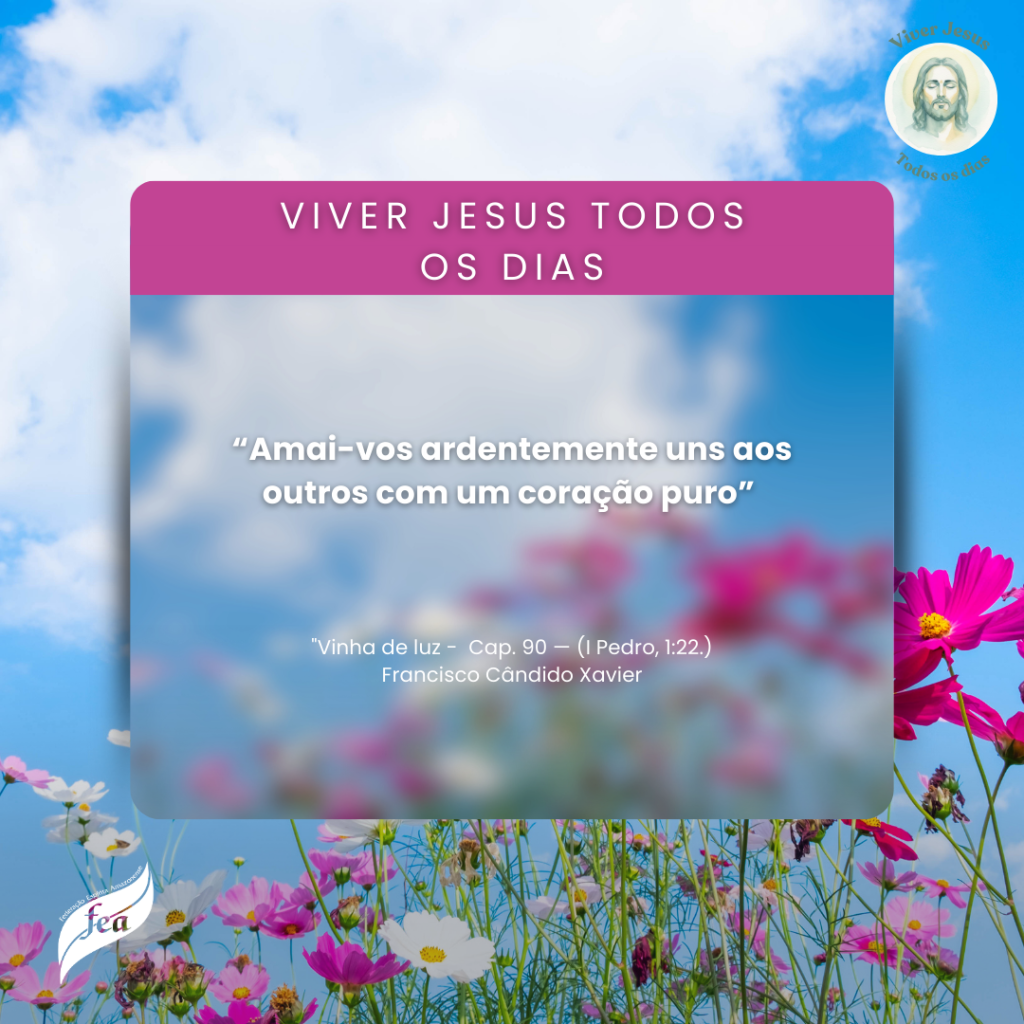 Campanha Viver Jesus todo dia 2025 (2)