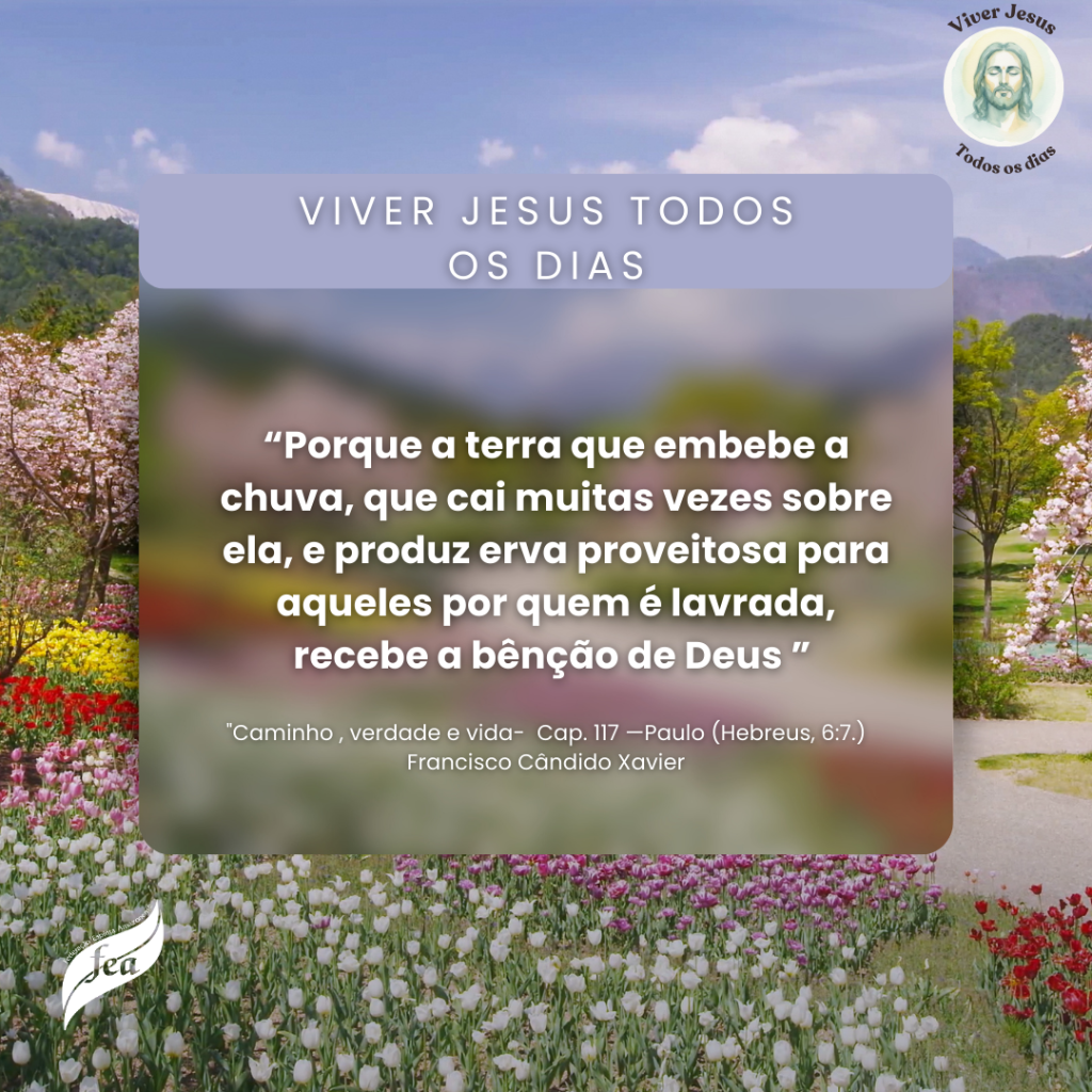 Campanha Viver Jesus todo dia 2025 (8)